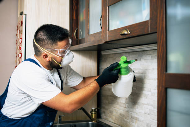 Best Best Pest Control Companies  in Leonardtown, MD