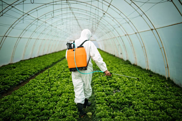 Best Mosquito Control Services  in Leonardtown, MD