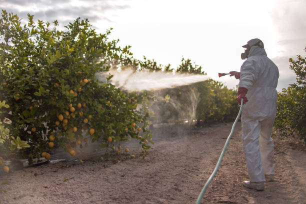 Best Pest Control Near Me  in Leonardtown, MD