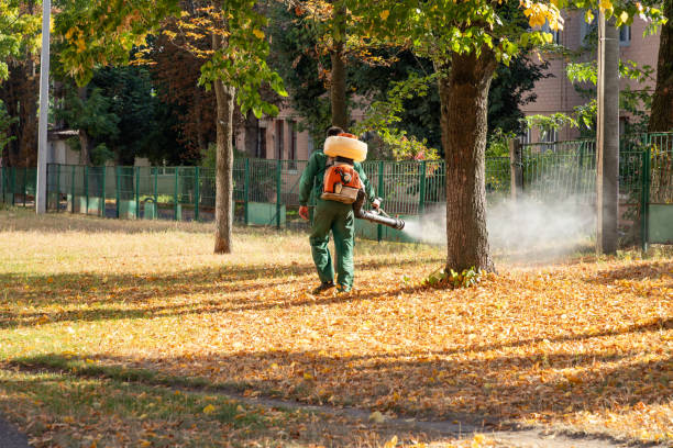 Best Pest Prevention Services  in Leonardtown, MD
